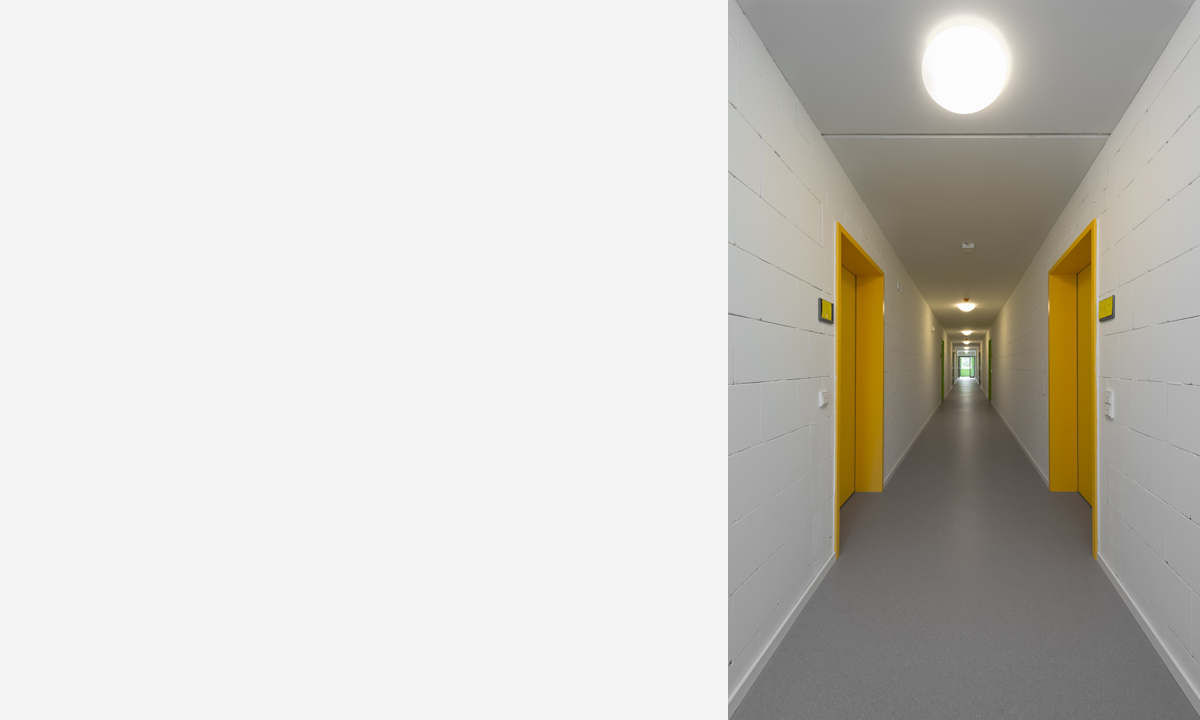 Copyright Michael Miltzow JUN7433.jpg